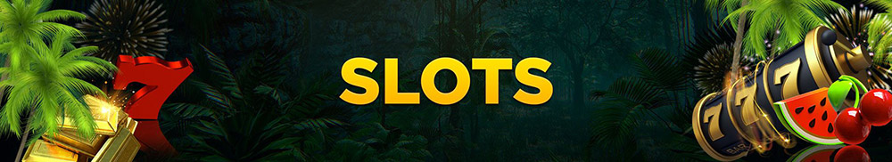 Wild Casino Slots