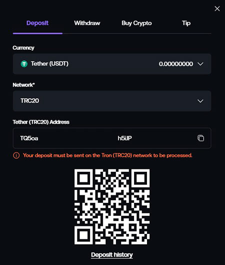 Shuffle Casino Deposit via Usdt