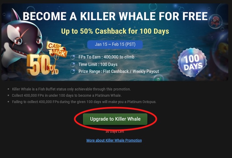Killer Whale GgPoker 1 En