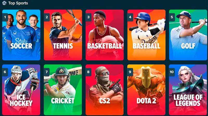 Stake Sportsbook: En qué deportes puedes apostar?