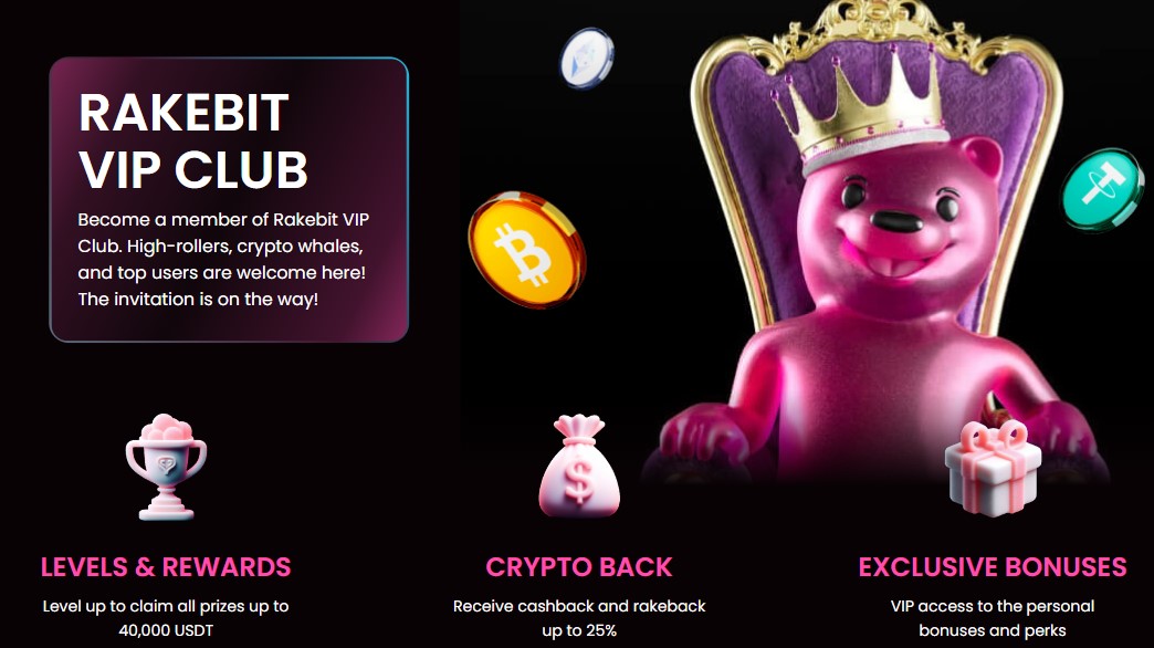 Rakebit VIP Program